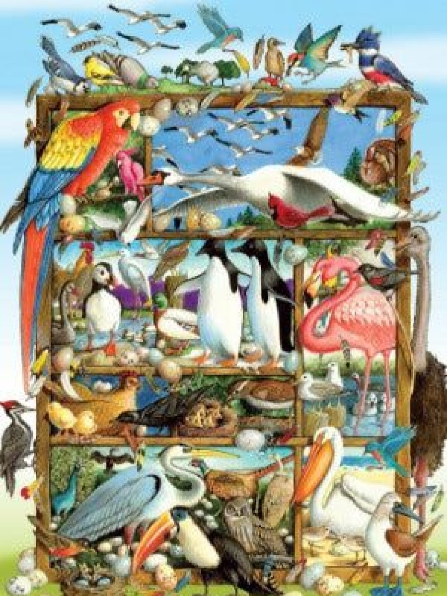 * Outset Media Best Sellers Birds Of The World 350Pc Family Puzzle 275-400 Piece