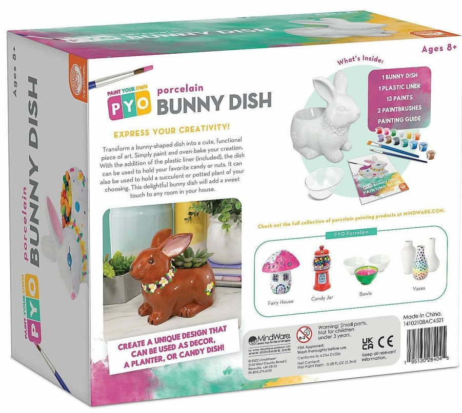 * Mindware Typical Style Paint Your Own Porcelain Bunny Dish Crafts