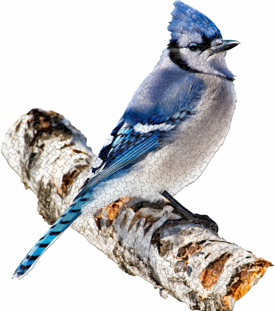 * E11Even, Llc Discounts I Am Blue Jay 300Pc Puzzle 275-400 Piece