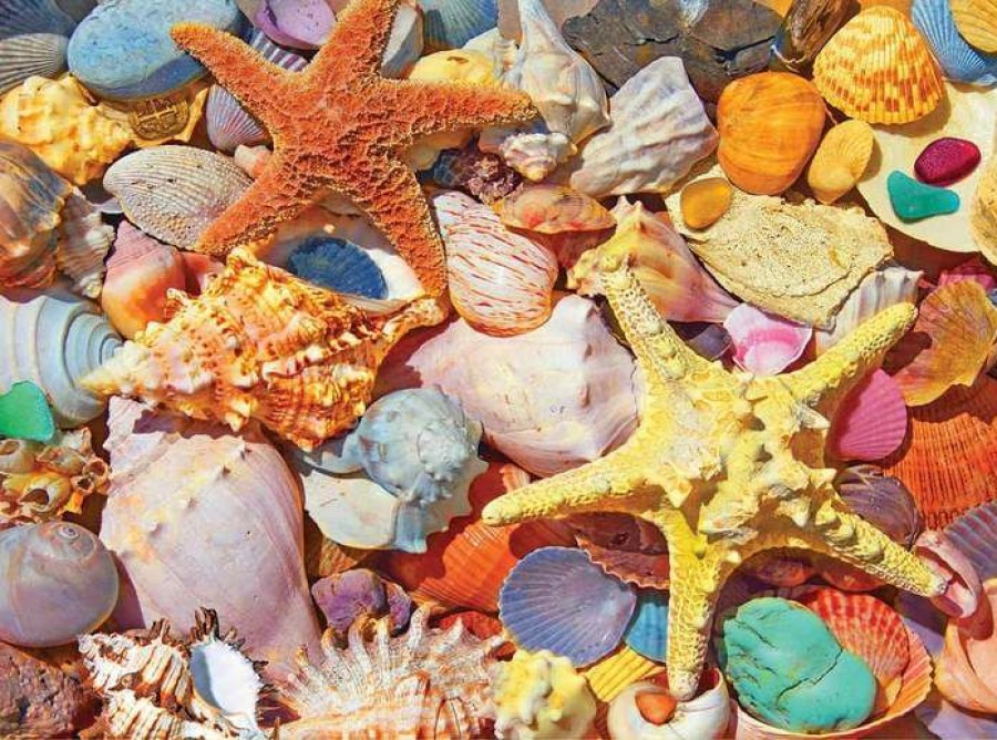 * White Mountain Puzzles, I Reliable Quality Beach Shells 550Pc Puzzle 500-750 Piece